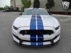 Thumbnail Photo 14 for 2017 Ford Mustang Shelby GT350